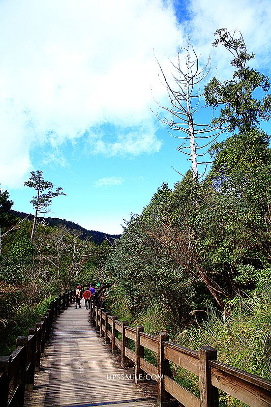 太平山翠峰湖環山步道，萍子推薦宜蘭景點，此生必去台灣美景之一
