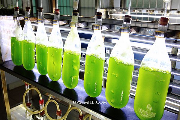 來去綠寶綠藻輕旅行taiwanchlorella，參訪台灣綠藻企業研究所，深入了解綠藻是天然健康，綠藻是唯一進總統府的保健食品，台灣綠藻產業真正躍居全球第一，擧世聞名 @upssmile向上的微笑萍子 旅食設影