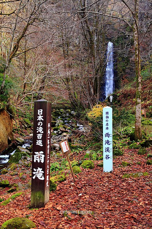 【日本鳥取景點】雨滝瀑布Tottori  Amedaki，鳥取縣內最大瀑布，鳥取雨滝瀑布日本百選瀑布之一，萍子推薦鳥取炎熱的夏天避暑，Tottori深呼吸，Tottori治癒身心靈的自然勝地，鳥取瀑布景點推薦 @upssmile向上的微笑萍子 旅食設影