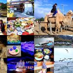 即時熱門文章：日本鳥取旅行全攻略Tottori ，萍子推薦日本山陰山陽（中國地區），日本四國玩法，鳥取縣交通，鳥取旅遊行程規劃，鳥取(鬼太郎故鄉)鳥取秋葉蟹，鳥取和牛火鍋，日本沙漠，日本砂丘，日本砂丘，鳥取自助玩法，鳥取旅行，鳥取溫泉5天4夜之旅