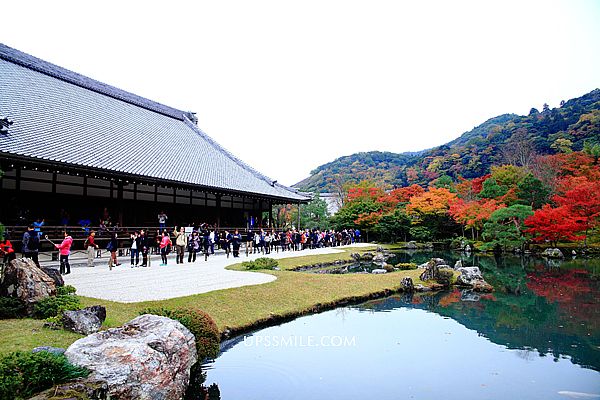 京都景點 天龍寺tenryuji Temple 萍子推薦京都賞楓賞櫻景點 京都賞楓自由行景點推薦 京都嵐山賞楓 天龍寺賞楓 嵯峨小火車到嵐山 竹林小徑 天龍寺之旅 嵐山天龍寺 曹源池庭園 造景日式建築倒影宛如一幅畫 京都世界遺產