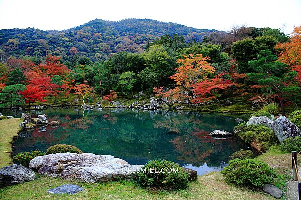 京都景點 天龍寺tenryuji Temple 萍子推薦京都賞楓賞櫻景點 京都賞楓自由行景點推薦 京都嵐山賞楓 天龍寺賞楓 嵯峨小火車到嵐山 竹林小徑 天龍寺之旅 嵐山天龍寺 曹源池庭園 造景日式建築倒影宛如一幅畫 京都世界遺產