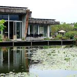 即時熱門文章：勝洋水草，萍子推薦宜蘭員山景點水草故鄉，宜蘭親子景點DIY體驗