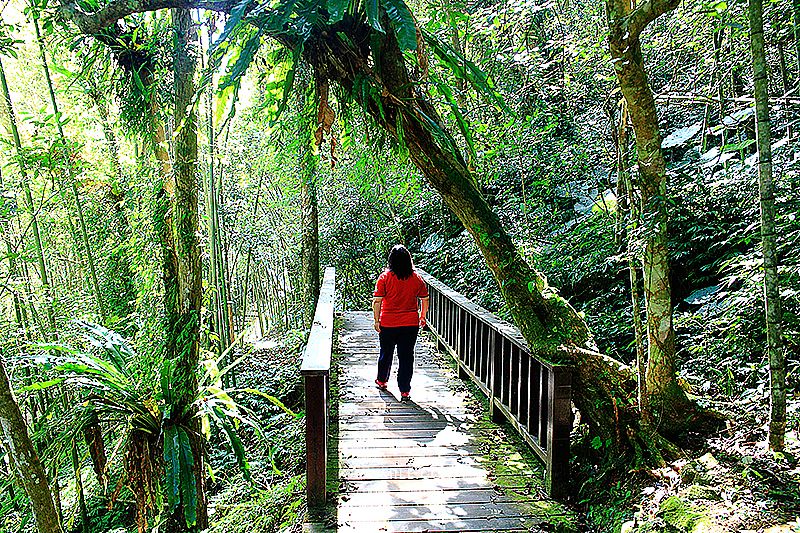 【嘉義梅山景點】圓潭自然生態園區（圓潭遊客中心）Yuan Tan natural ecological park，萍子推薦嘉義梅山景點森林小旅行，嘉義大自然芬多精，圓潭瀑布，阿里山螢火蟲季，圓潭瀑布、向山瀑布、心湖瀑布，嘉義景觀步道，中台灣山中景觀森林步道