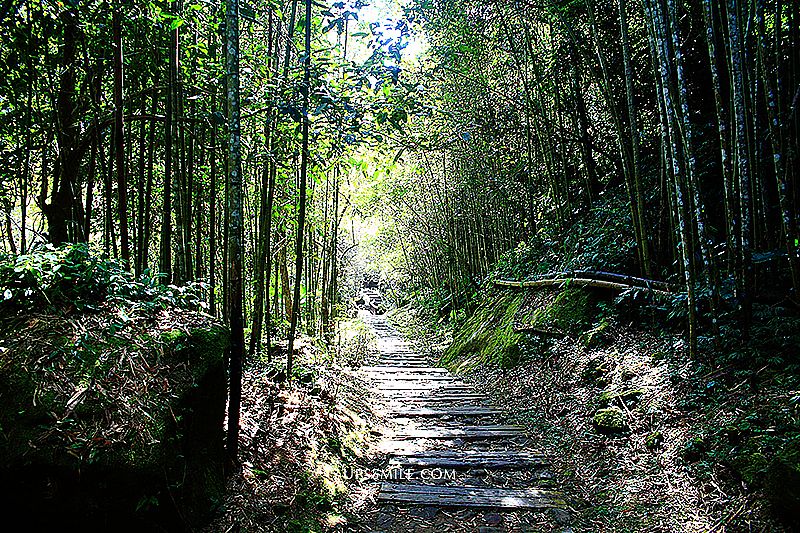 【嘉義梅山景點】圓潭自然生態園區（圓潭遊客中心）Yuan Tan natural ecological park，萍子推薦嘉義梅山景點森林小旅行，嘉義大自然芬多精，圓潭瀑布，阿里山螢火蟲季，圓潭瀑布、向山瀑布、心湖瀑布，嘉義景觀步道，中台灣山中景觀森林步道