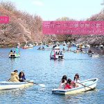 即時熱門文章：【日本東京賞櫻景點名所】吉祥寺井之頭恩賜公園櫻花Inokashira Onshi Park cherry blossoms，萍子推薦吉祥寺站賞櫻，日本櫻花名所百選，井之頭恩賜公園交通，日本賞櫻行程推薦，井之頭池中遊船遊湖、賞櫻花，井之頭恩賜公園交通，吉祥日一日旅行程，走路到三鷹吉卜力美術館，井之頭公園夜櫻
