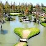 即時熱門文章：【雲林景點】澄霖沉香味道森林館chenglin_tw，萍子推薦台版兼六園日式庭園造景，中部觀光工廠，雲林景點，雲林IG網美打卡景點，澄霖沉香味道森林館餐廳-澄香堂，虎尾景點，中台灣IG打卡熱門景點，中台灣美麗祕境落羽松