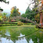 即時熱門文章：【南投鹿谷景點】溪頭自然教育園區、溪頭森林遊樂區Xitou Recreational Area，萍子推薦溪頭景點，南投旅行，南投熱門景點，IG南投打卡景點，南投旅遊推薦，食尚玩家推薦南投景點