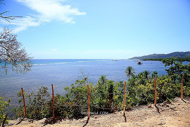 【薄荷島景點】Bohol Anda安達觀光景點Lamanok Island拉曼諾克島生態島神祕之旅（搭小船去島上），紅樹林保護區，Lamanoc Island景點，薄荷島行程推薦，安達觀光景點，安達必去