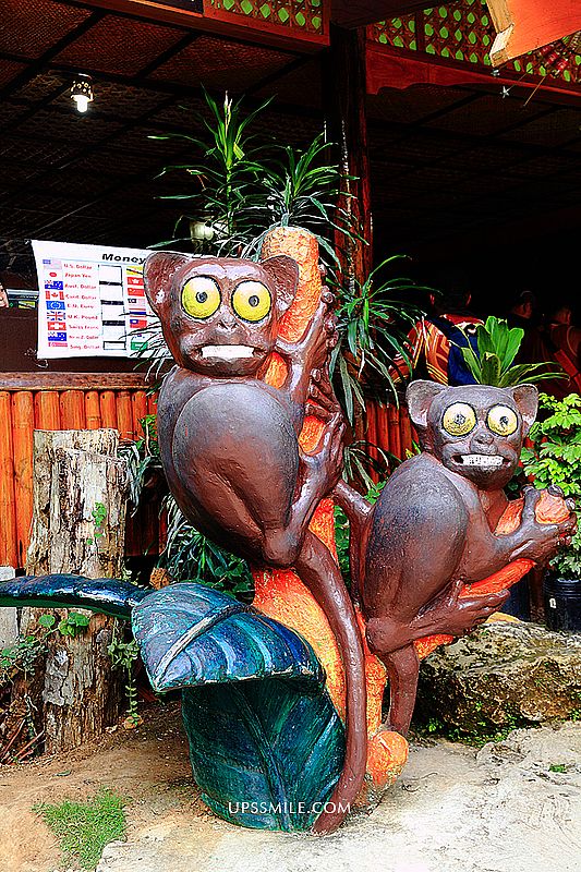 【菲律賓薄荷島景點】菲律賓眼鏡猴保護區Tarsier Conservation Area，萍子推薦菲律賓眼鏡猴世界獨有，外星人、絕地大師尤達，Philippine Tarsier Sanctuary，薄荷島必去景點