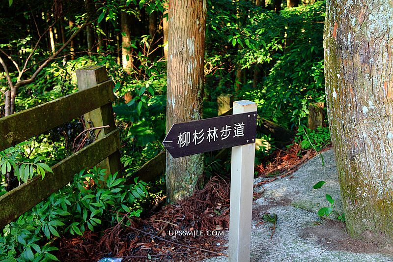 新北三峽景點 熊空茶園，台灣農林三峽百年茶園，海拔700公尺森林玻璃屋咖啡館，三峽秘境，新北世外桃源 @upssmile向上的微笑萍子 旅食設影
