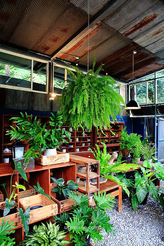 陽明山野人花園 SAVAGE GARDEN，2021唯美森林系景觀玻璃屋咖啡館，台北秘境打卡景點，選物店觀葉植物盆栽可購買 @upssmile向上的微笑萍子 旅食設影