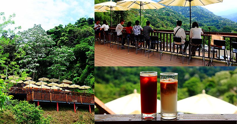 上山喝咖啡，新竹橫山森林系咖啡館，山中秘境咖啡館，五月雪油桐花美不勝收，遠離塵囂喝咖啡
