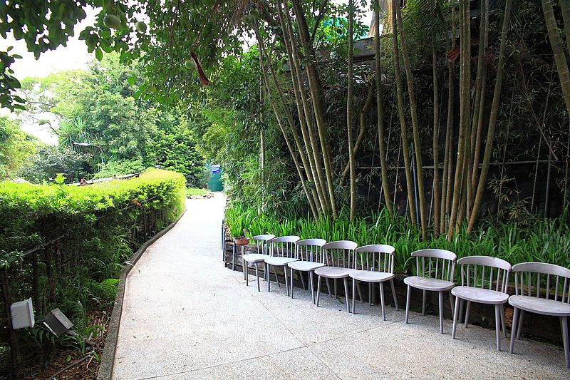 八卦夜未眠景觀餐廳，台北陽明山景觀餐廳推薦，現撈活體海鮮，燒烤火鍋快炒通通有，180度百萬夜景，台北陽明山約會餐廳，台北求婚聖地，台北網美餐廳