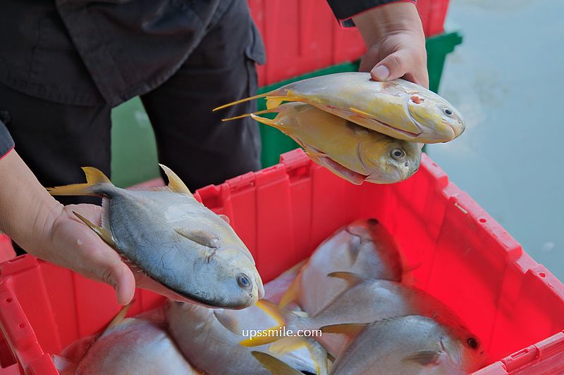 【台中美食】潮港城太陽百匯2024，破百道餐點不用千元吃到飽，10-12月釜山海鮮季強勢登場，台中buffet期間限定鐵板海鮮、韓流美食不容錯過，潮港城國際美食館，潮港城太陽百匯6折，四人同行活動送「巨無霸檸檬泰國蝦」