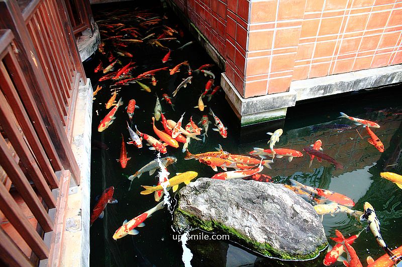 【嘉義景點】東園軒園林餐廳，嘉義中國風宮廷風庭院景觀餐廳，小孩餵魚，台版小蘇杭，嘉義中式料理餐廳，嘉義景觀餐廳推薦