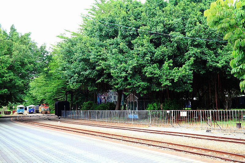 【彰化溪湖景點】彰化溪湖糖廠，五分車小火車兜風體驗、北海道彩虹霜淇淋、唱片行千層酥、台糖冰品，彰化糖觀光園區，彰化景點推薦