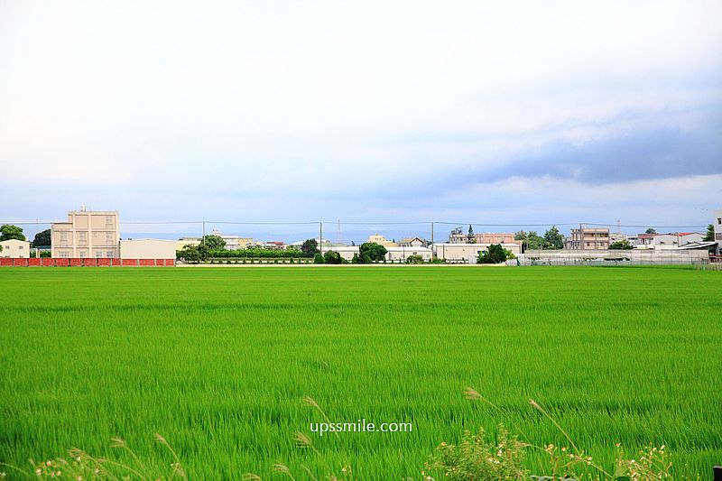 【彰化溪湖景點】彰化溪湖糖廠，五分車小火車兜風體驗、北海道彩虹霜淇淋、唱片行千層酥、台糖冰品，彰化糖觀光園區，彰化景點推薦