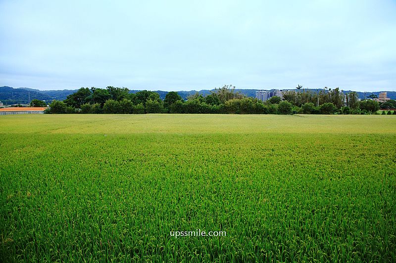 新竹新埔鎮農會咖啡廳 穀倉咖啡廳，田景第一排稻香新竹網美咖啡廳，新埔咖啡廳推薦，新埔秘境咖啡廳，新竹新埔景點推薦