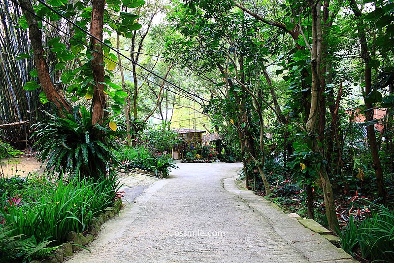 綠庭緣，虎頭山秘境景觀餐廳，桃園深山森林系樹屋咖啡廳，登山愛好者虎頭山步道，歐式鄉村風咖啡廳，寵物友善可訂位預約