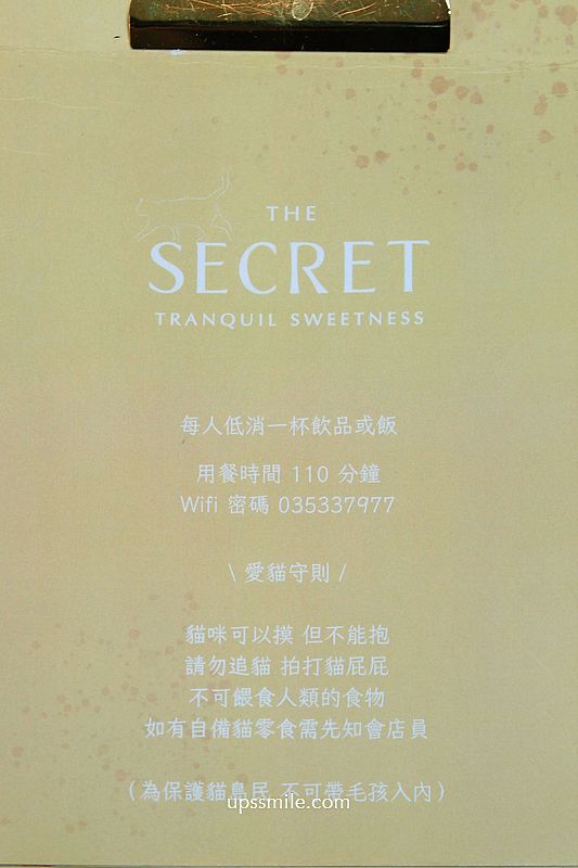 【新竹美食】The Secret 謐謐新竹鐵道店x貓嶼，貓奴必去，新竹寵物友善餐廳，新竹網美老宅庭院咖啡廳，新竹下午茶，新竹巨城附近美食餐廳，新竹貓咪咖啡廳