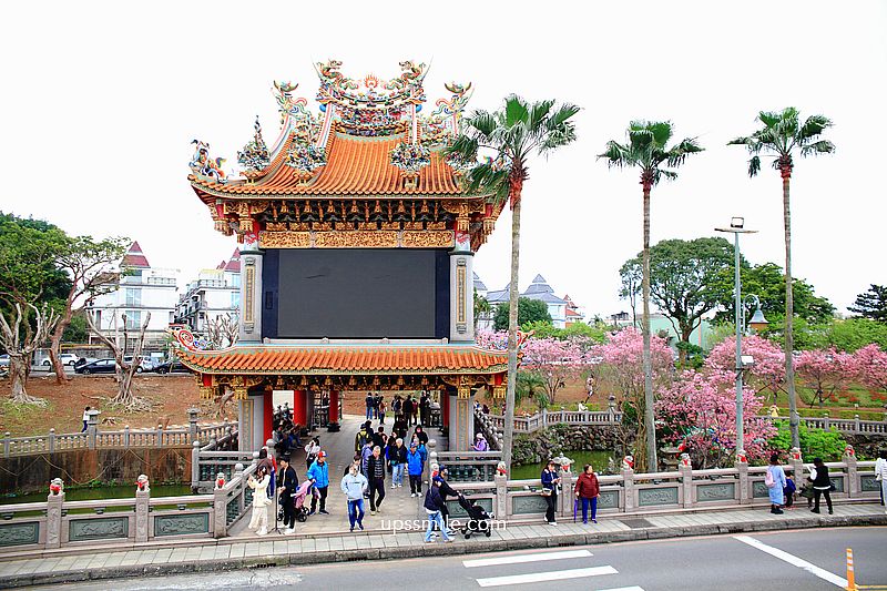 【林口景點】竹林山觀音寺櫻花，林口櫻花2025，吉野櫻山櫻花滿開，林口網美賞櫻花勝地，附竹林山觀音寺交通