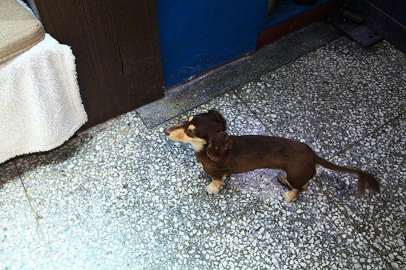 【南港甜點】Timchi’s週末肉桂捲，隱身南港民宅神等級好吃肉桂捲專賣店，捷運南港展覽館甜點