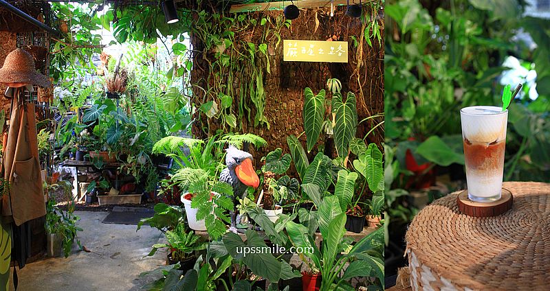 蕨醒之路（找路咖啡）台中鹿角蕨花市森林系咖啡廳，台中大雅鹿角蕨觀葉植物咖啡廳