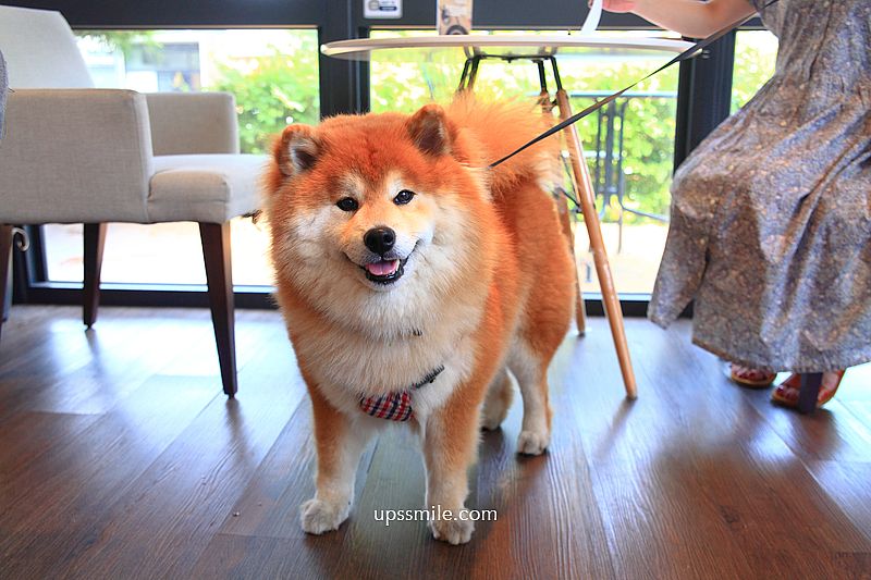 Oracle Coffee 神諭咖啡台中大城店，台中大坑景點，大坑情人橋超美教堂風玻璃屋咖啡廳