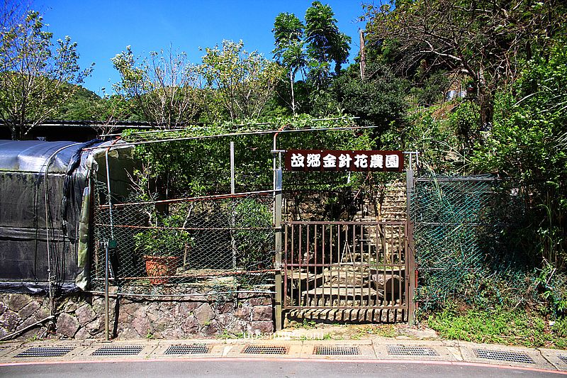 小丘咖啡屋(2025年10月已搬遷新店址,這篇是舊址),陽明山下午茶,竹子湖秘境咖啡廳,台北森林系咖啡廳,竹子湖美食手作水果茶 小丘咖啡屋(2025年10月已搬遷新店址,這篇是舊址),陽明山下午茶,竹子湖秘境咖啡廳,台北森林系咖啡廳,竹子湖美食手作水果茶