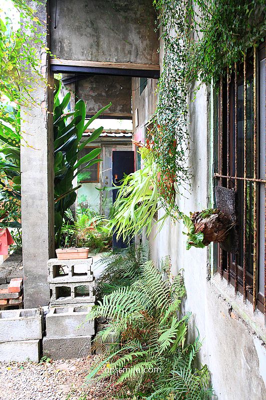 Focus on flavor 2 中壢，牆裡伸出巨大黑手咖啡廳，中原大學咖啡廳，桃園秘境風格咖啡廳，中壢咖啡廳推薦