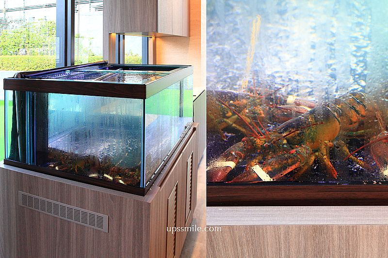 【台中慶生聚餐首選】明水然樂台中星級店逢甲,全球最大的無菜單鐵板燒料理品牌,逢甲夜市必吃,台中鐵板燒推薦 【台中慶生聚餐首選】明水然樂台中星級店逢甲,全球最大的無菜單鐵板燒料理品牌,逢甲夜市必吃,台中鐵板燒推薦