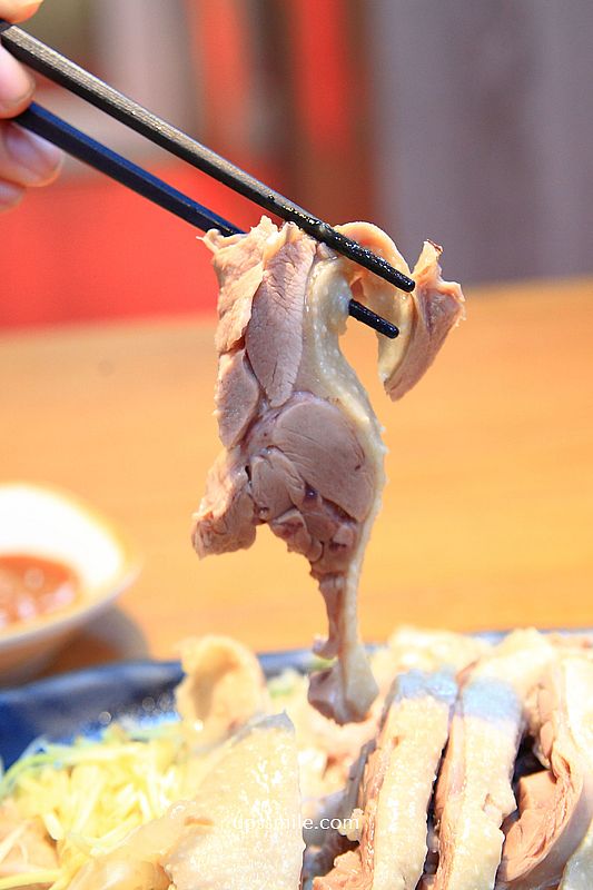 【台中北屯美食】鵝庄「黃金燒鵝」農場直營鵝肉專賣店，台中松竹路美食，台中鵝肉推薦