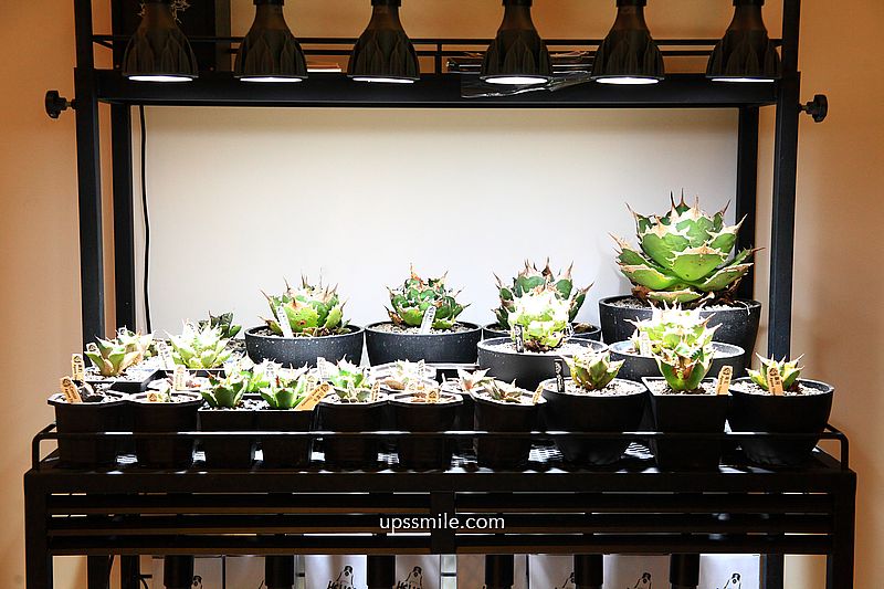 THE OAK LAB 81+ 咖啡輕食,台中露營風格咖啡廳,神等級好吃起司燻雞貝果,複合式展覽選物店建案中心,台中北屯咖啡廳 THE OAK LAB 81+ 咖啡輕食,台中露營風格咖啡廳,神等級好吃起司燻雞貝果,複合式展覽選物店建案中心,台中北屯咖啡廳