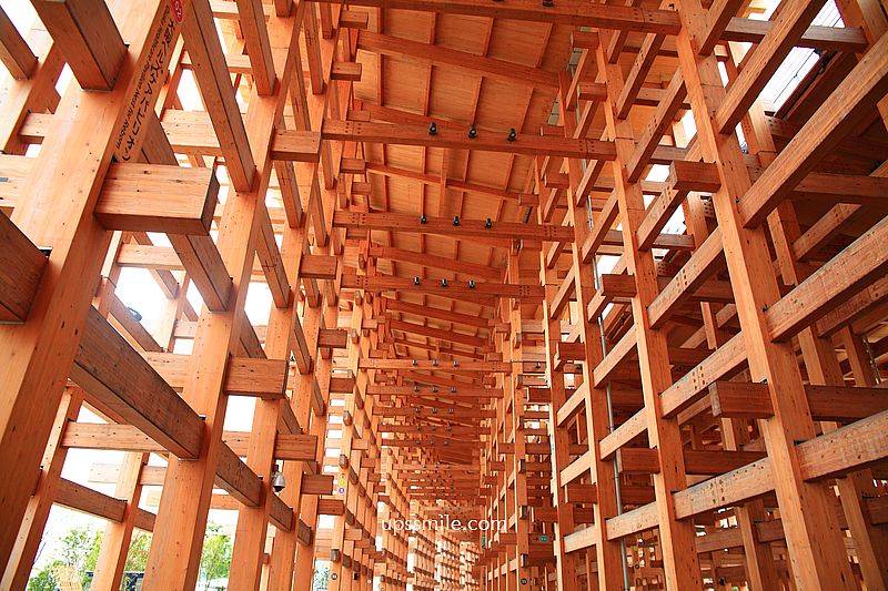 【大阪景點】2025大阪世博全攻略，登陸人工島「夢洲」，大屋根世界最大木造建築、17公尺高鋼彈降臨，8大主題場館必逛展館設計