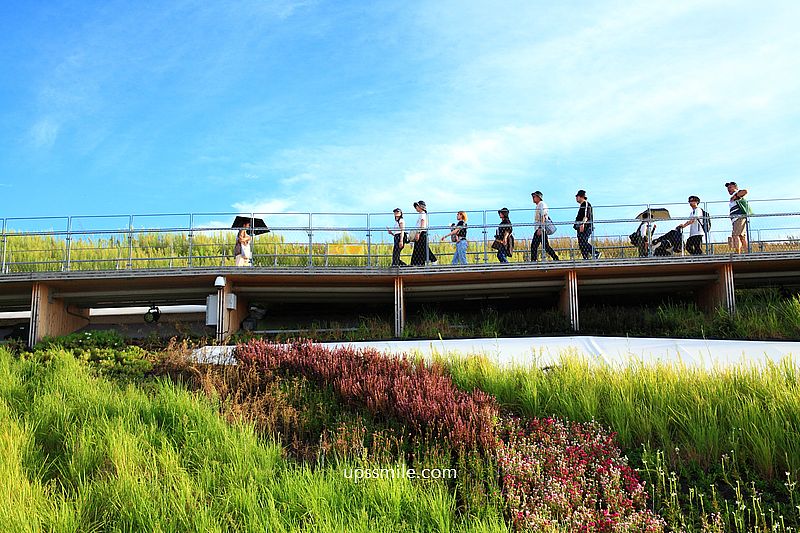 【大阪景點】2025大阪世博全攻略，登陸人工島「夢洲」，大屋根世界最大木造建築、17公尺高鋼彈降臨，8大主題場館必逛展館設計