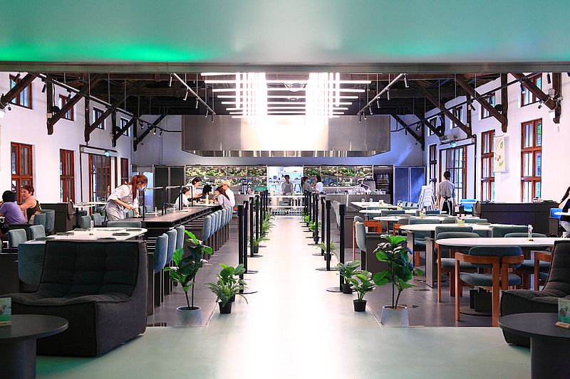 gonnaPLUS地中海健康旗艦餐廳，主打原型食物與地中海飲食，台北古蹟咖啡廳，台北松菸聚會餐廳，台北寵物友善餐廳