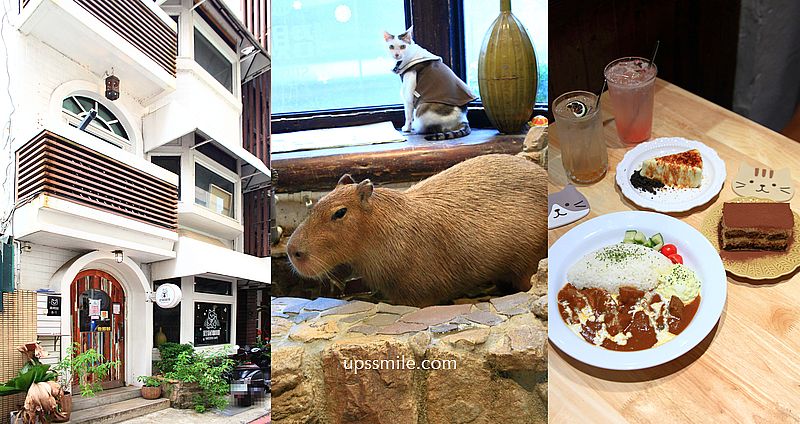 招財咖啡，新竹水豚君咖啡廳，老宅貓咪咖啡廳，新竹景點推薦，新竹寵物友善咖啡廳 @upssmile向上的微笑萍子 旅食設影