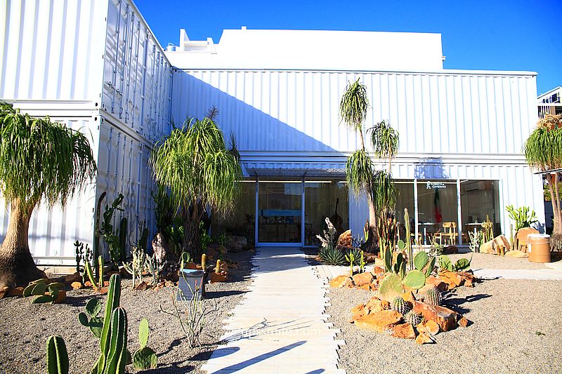 諾貝達咖啡館,台中最新曠野風咖啡廳,台版小加州沙漠風仙人掌咖啡廳,皮爾卡登寢具台中旗艦店 諾貝達咖啡館,台中最新曠野風咖啡廳,台版小加州沙漠風仙人掌咖啡廳,皮爾卡登寢具台中旗艦店