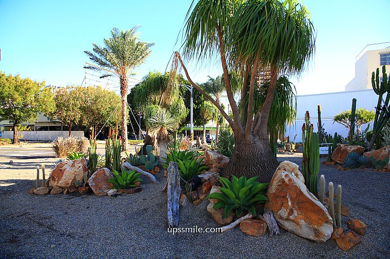 諾貝達咖啡館,台中最新曠野風咖啡廳,台版小加州沙漠風仙人掌咖啡廳,皮爾卡登寢具台中旗艦店 諾貝達咖啡館,台中最新曠野風咖啡廳,台版小加州沙漠風仙人掌咖啡廳,皮爾卡登寢具台中旗艦店