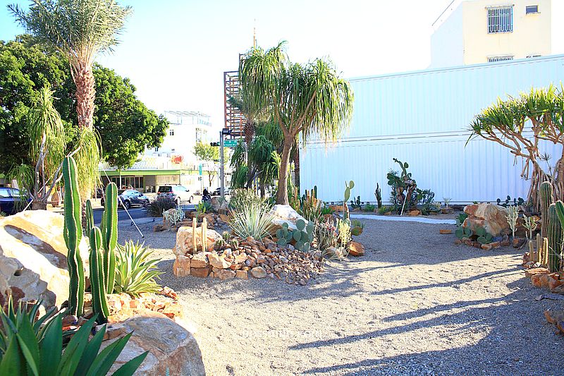 諾貝達咖啡館,台中最新曠野風咖啡廳,台版小加州沙漠風仙人掌咖啡廳,皮爾卡登寢具台中旗艦店 諾貝達咖啡館,台中最新曠野風咖啡廳,台版小加州沙漠風仙人掌咖啡廳,皮爾卡登寢具台中旗艦店