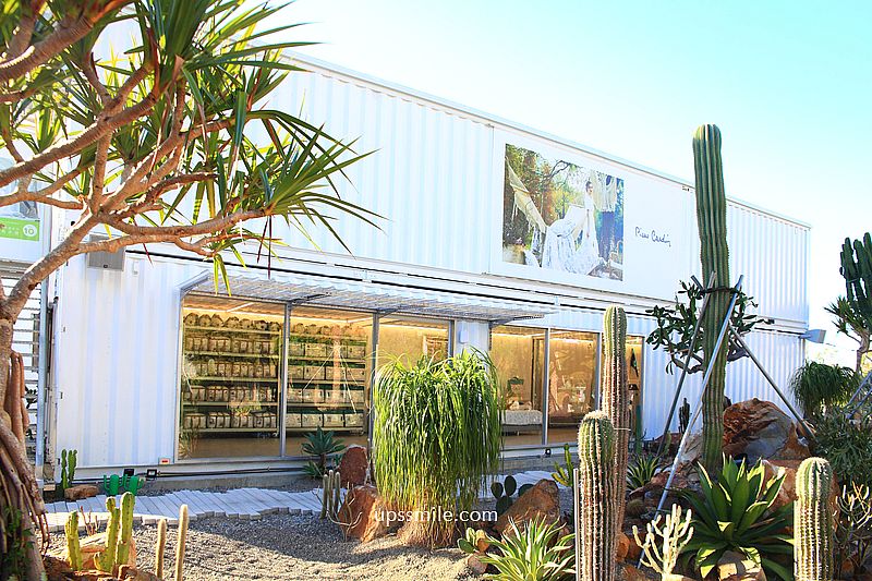 諾貝達咖啡館,台中最新曠野風咖啡廳,台版小加州沙漠風仙人掌咖啡廳,皮爾卡登寢具台中旗艦店 諾貝達咖啡館,台中最新曠野風咖啡廳,台版小加州沙漠風仙人掌咖啡廳,皮爾卡登寢具台中旗艦店