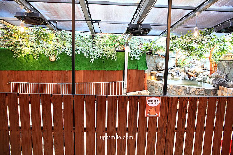 水豚屋,台北信義區水豚屋日式涮涮鍋,台北水豚寵物友善餐廳,捷運市府站美食 水豚屋,台北信義區水豚屋日式涮涮鍋,台北水豚寵物友善餐廳,捷運市府站美食