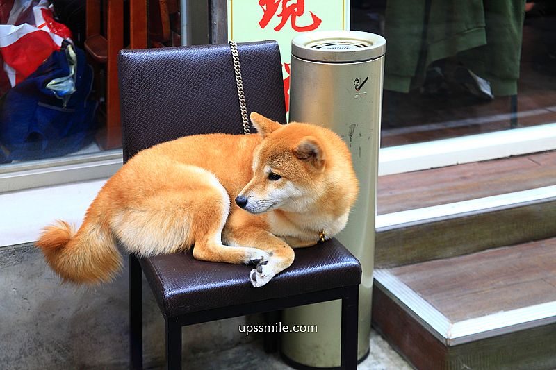【萬華美食】稻香園陳記潮汕砂鍋粥萬華總店，台北神等級好吃海鮮粥快炒，龍山寺站美食必吃