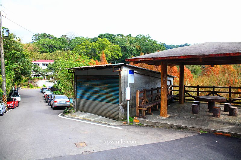 【台北落羽松】陽明山永公路500巷落羽松,台北秘境網美景點,陽明山S型落羽松秘境 【台北落羽松】陽明山永公路500巷落羽松,台北秘境網美景點,陽明山S型落羽松秘境