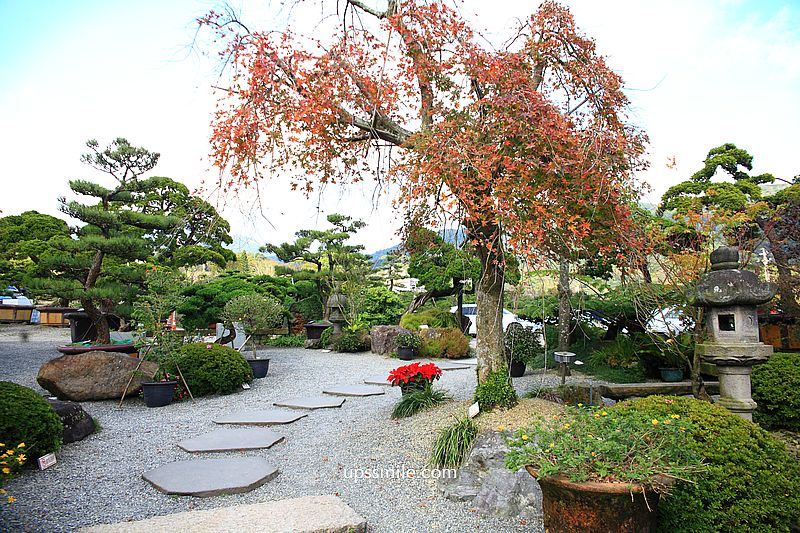 【陽明山美食】松竹園，米其林推薦台北老字號土雞城，台北合菜餐廳推薦