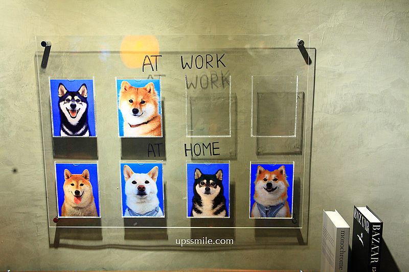 KINU Cafe (無提供訂位) 台北柴犬咖啡廳，新開幕2026捷運東門站寵物友善咖啡廳