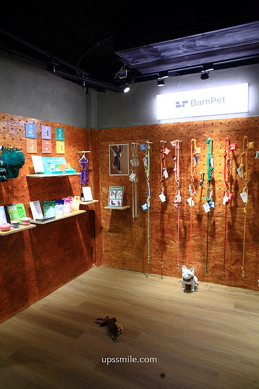 KINU Cafe (無提供訂位) 台北柴犬咖啡廳，新開幕2026捷運東門站寵物友善咖啡廳