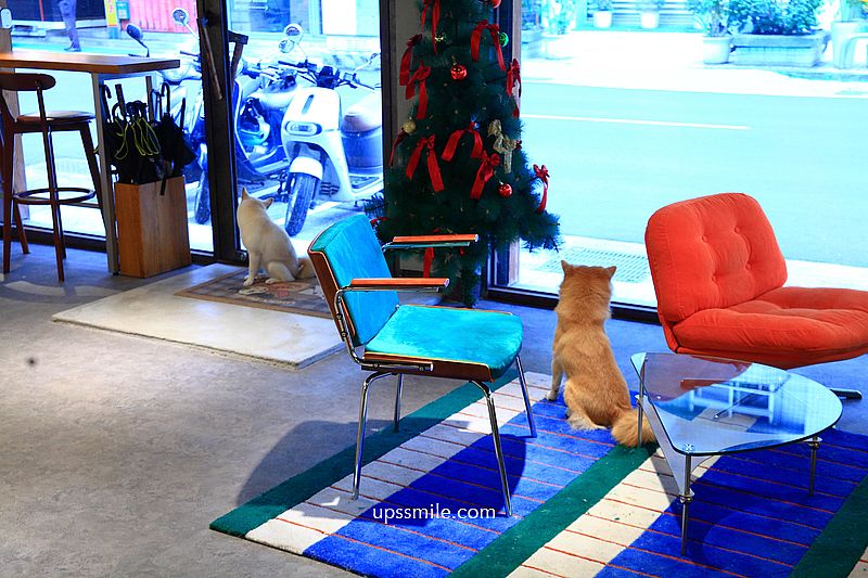 KINU Cafe (無提供訂位) 台北柴犬咖啡廳，新開幕2026捷運東門站寵物友善咖啡廳