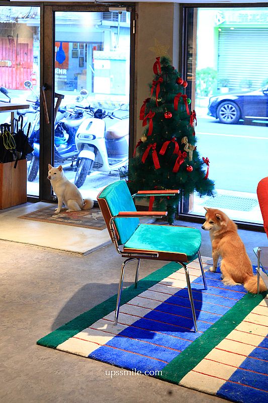 KINU Cafe (無提供訂位) 台北柴犬咖啡廳，新開幕2026捷運東門站寵物友善咖啡廳
